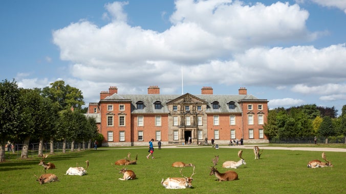 Fallow deer resting in front of the house at Dunham Massey, Cheshire.
